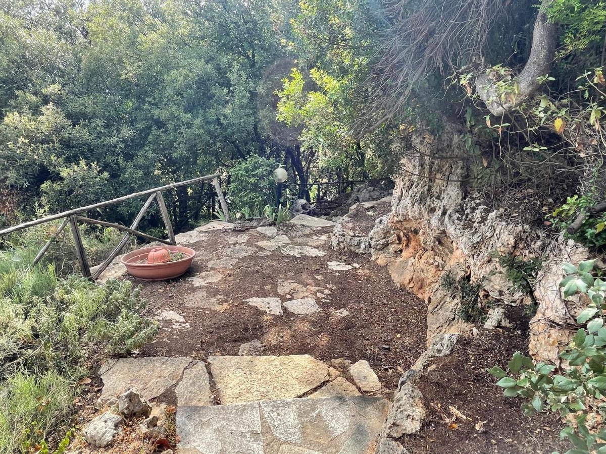 מאסה מריטימה Villa Degli Ulivi מראה חיצוני תמונה