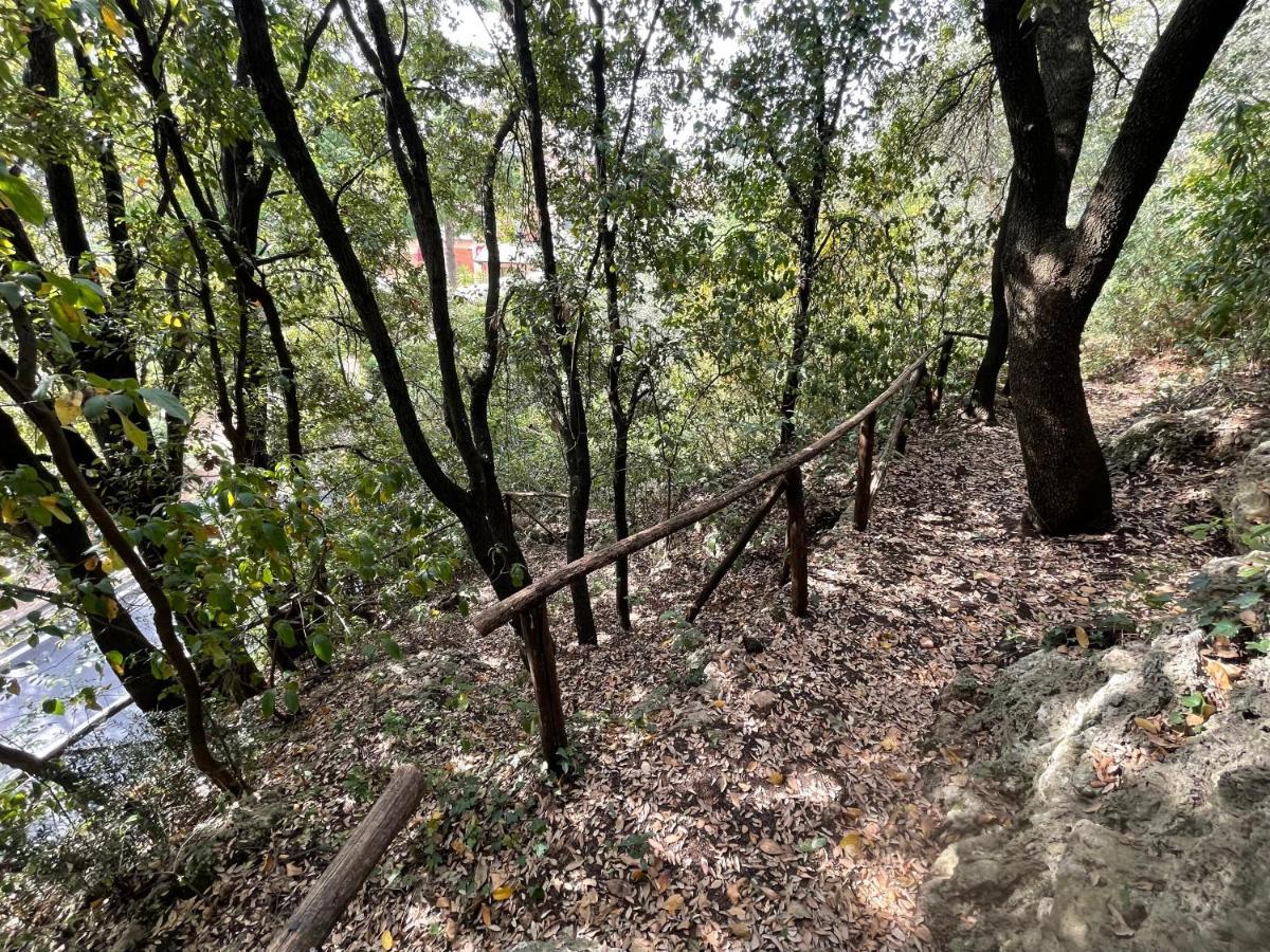 מאסה מריטימה Villa Degli Ulivi מראה חיצוני תמונה