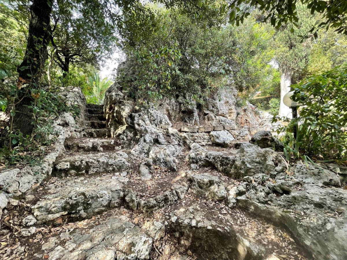 מאסה מריטימה Villa Degli Ulivi מראה חיצוני תמונה