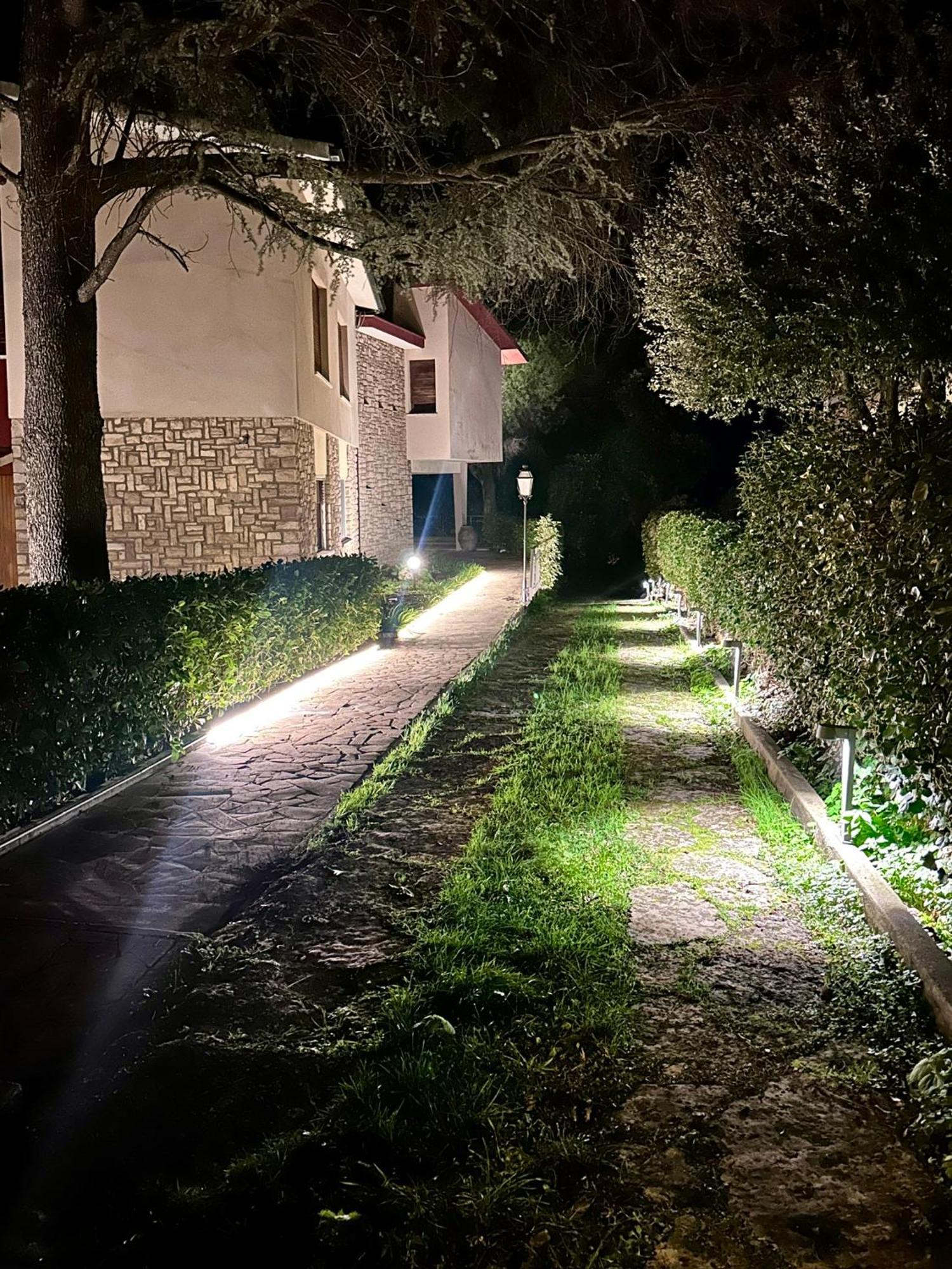 מאסה מריטימה Villa Degli Ulivi מראה חיצוני תמונה